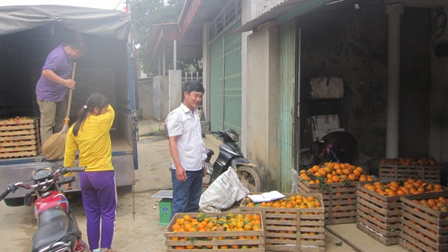 Yên Bái Nhiều tín hiệu tích cực từ Đề án Tái cơ cấu nông nghiệp